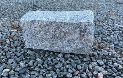 salg af 10 stk. hvede Kuppam - 10 stk.