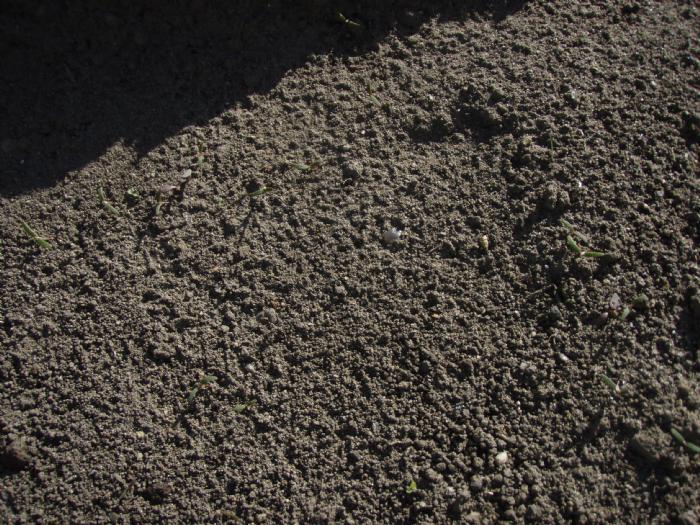 salg af Harpet muld - 4 x 1000 kg