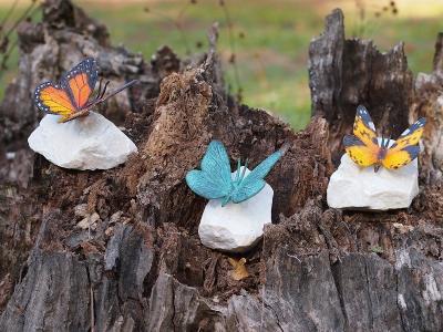 salg af Farverig sommerfugl på sten