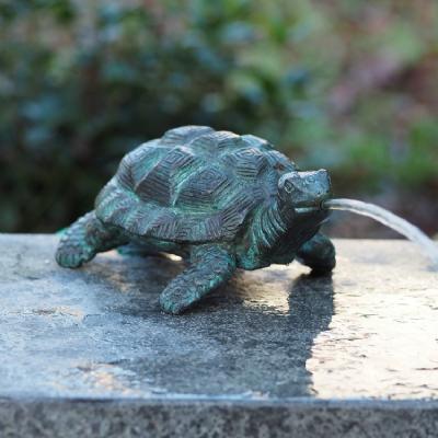 Lille skildpadde