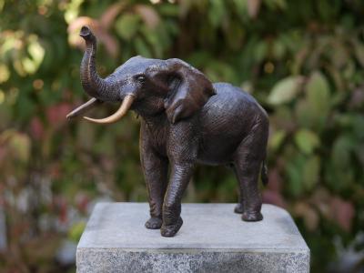 salg af Elefant L36 cm