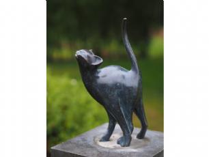 Kælen kat
