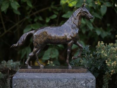salg af Hest med speciel patina