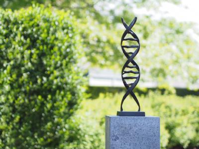 salg af DNA skulptur