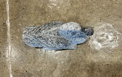 salg af And granit L20 cm