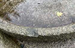 antik møllesten nr. 5