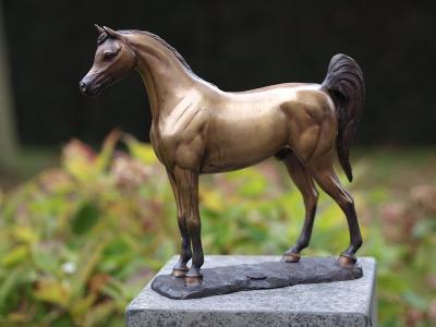 salg af Arabisk hest
