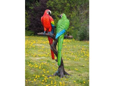 salg af 2 farverige papegøjer på træ