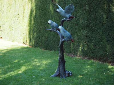 salg af 3 grå papegøjer på træ