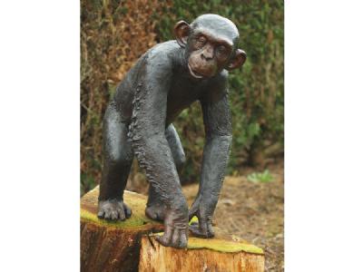 salg af Chimpanse