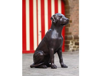 salg af Siddende labrador