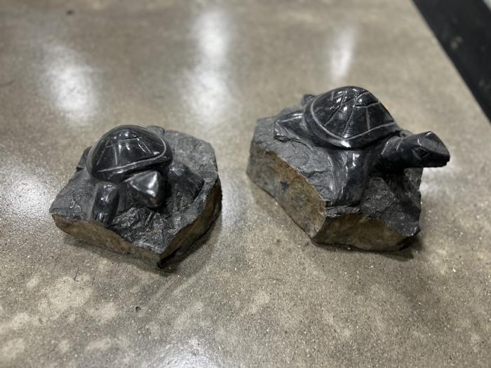 salg af Basalt skildpadde L25-30 cm