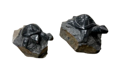 salg af Basalt skildpadde