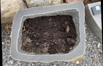 salg af Basalt plantetrug flere varianter