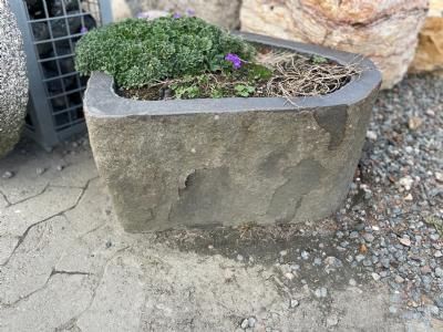 salg af Basalt plantetrug flere varianter