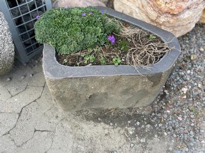 salg af Basalt plantetrug flere varianter