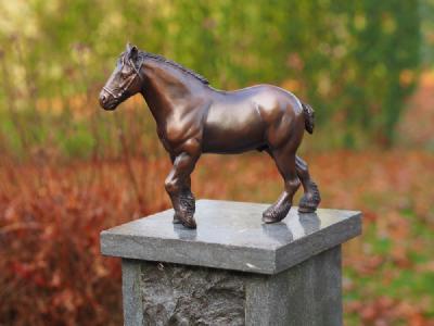 salg af Belgisk hest