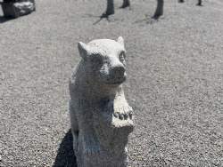 Bjørn 4