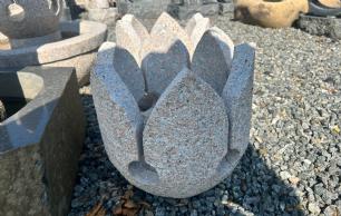 Blomst vandsten - limet