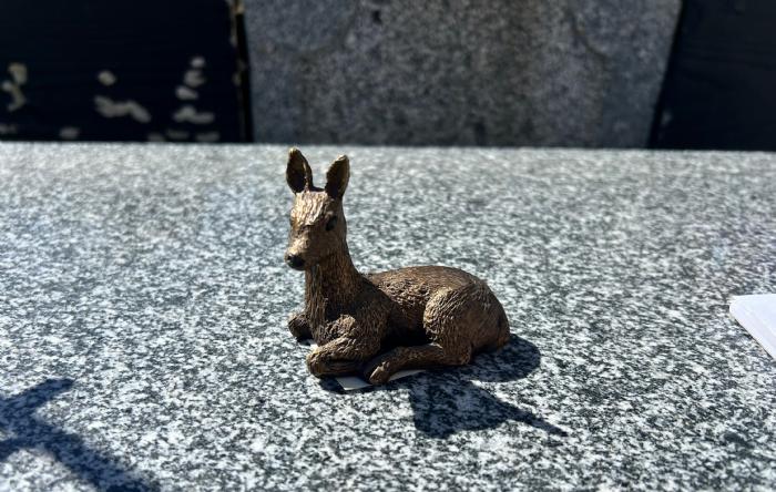 salg af Lille rådyr