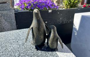 Pingvin mor og unge