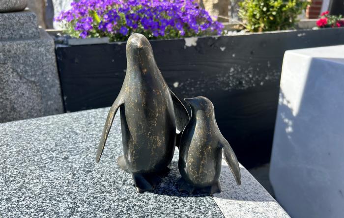 salg af Pingvin mor og unge
