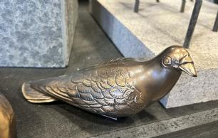 Bronze due