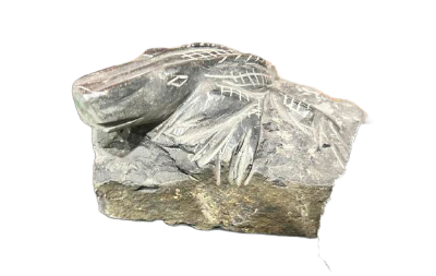salg af Øgle basalt blok