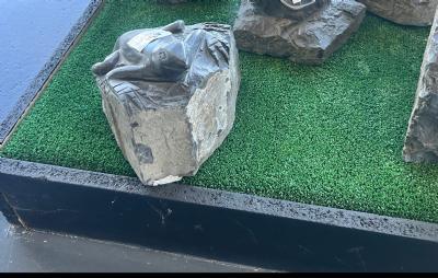salg af Frø i basalt blok