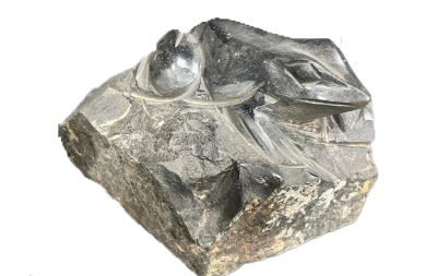 salg af Frø i basalt blok