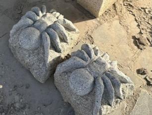 Edderkop grå granit