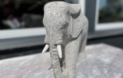 Elefant grå granit med marmor stødtænder