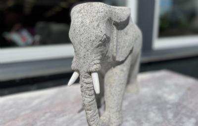 salg af Elefant grå granit med marmor stødtænder