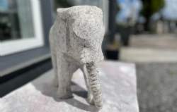 elefant marmor stødtænder
