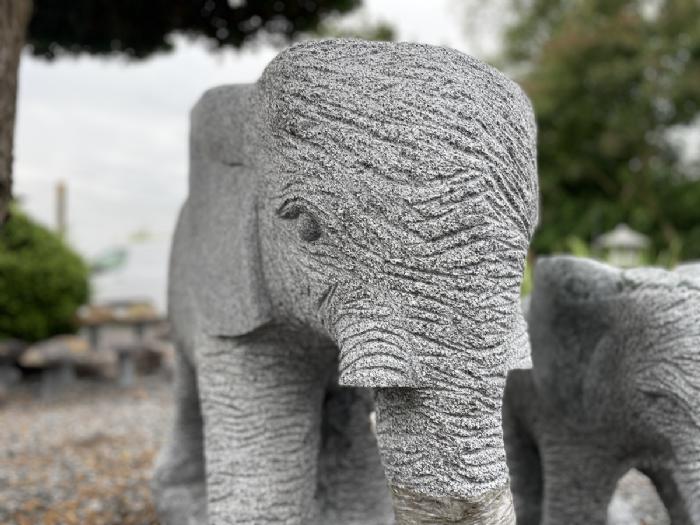 salg af Elefant gråsort med polerede ører