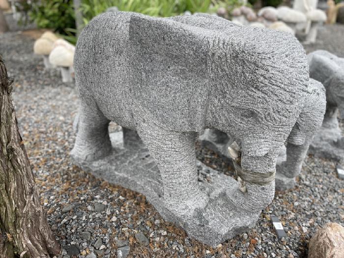 salg af Elefant gråsort med polerede ører