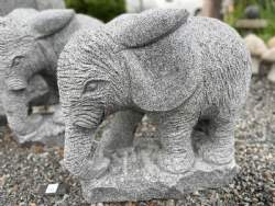 elefant rå gråsort granit