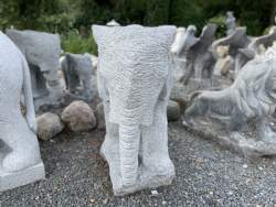 elefant snabel