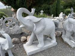 elefant snabel op 2