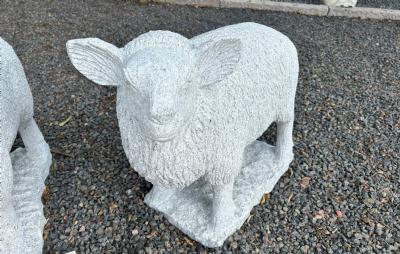 salg af Får lysegrå granit