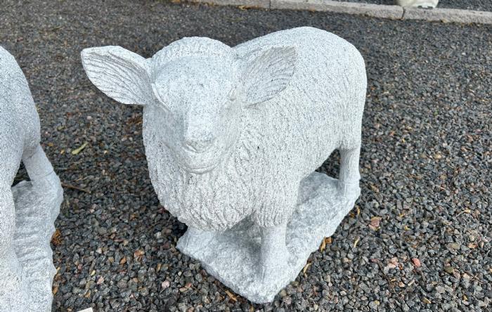 salg af Får lysegrå granit