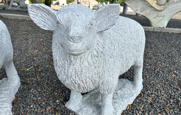 salg af Får lysegrå granit