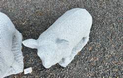 får granit