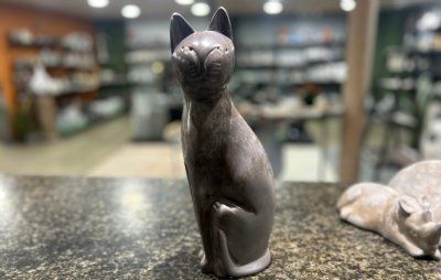 Fedtsten mellem kat