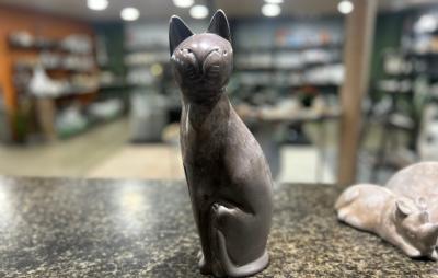 salg af Fedtsten kat mellem unika