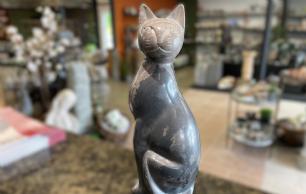 Fedtsten kat mellem unika