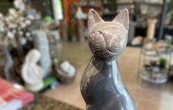 fedsten kat mellem model