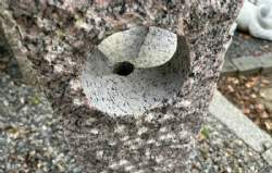 rød granit firkantet