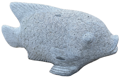 salg af Kirurg fisk L90