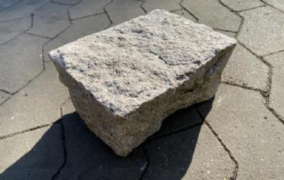 salg af 10 stk. Klosterhvede rosa 10 cm